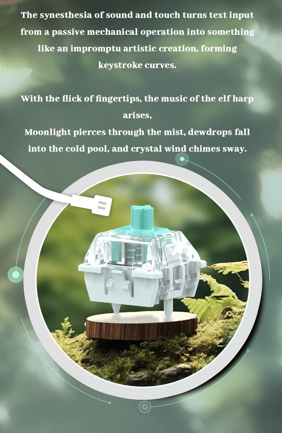TTC Elf King Magnetic Switch