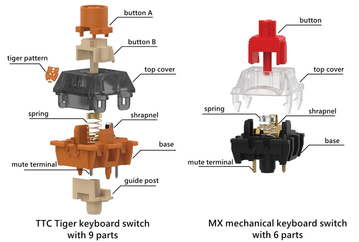 TTC Tiger Switches, Standard / RGB / Original Version (Factory Pre-lubed) - IPOPULARSHOP