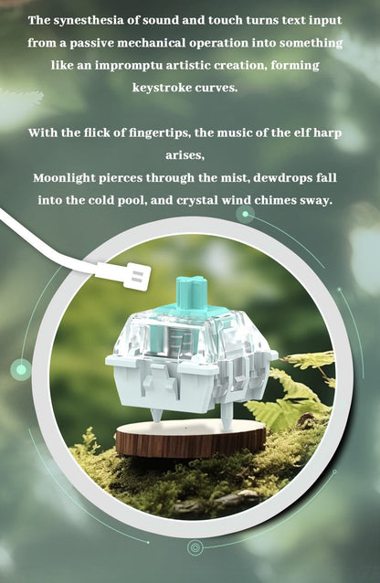 TTC Elf King Magnetic Switch