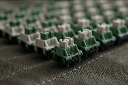 TTC 42g/55g Wild switches  (Factory Pre-lubed) For Matrix Mechanical Keyboard - IPOPULARSHOP
