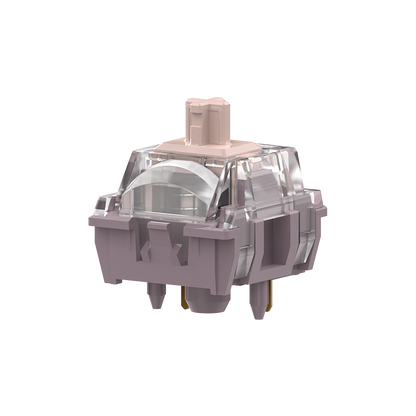 TTC Speed Gold V2 Linear Switches