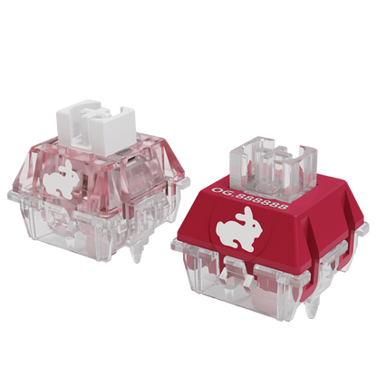 TTC Rabbit RGB Mechanical Switches - IPOPULARSHOP