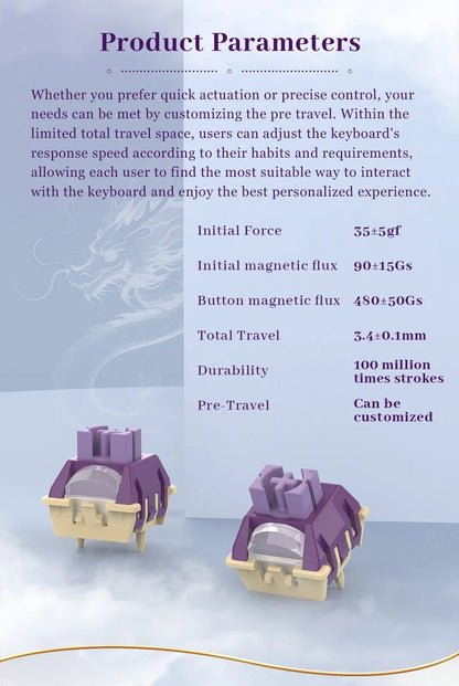 TTC Dragon Lord Magnetic Switch
