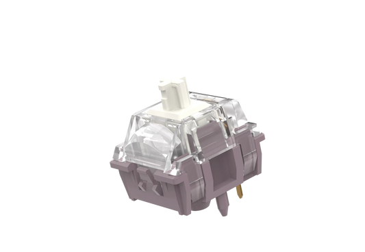 TTC Speed Gold V3 Switch-HIFI Style