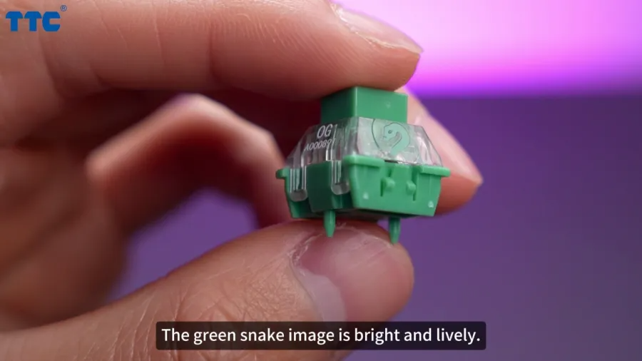 TTC Zodiac Snake Magnetic Switch