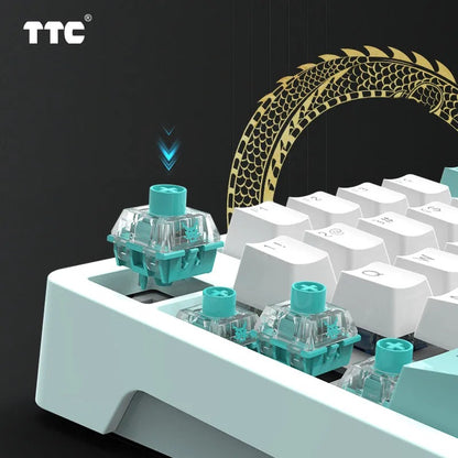 TTC Qing Loong Switch(RGB)